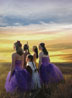 Prairie Nutcracker Poster